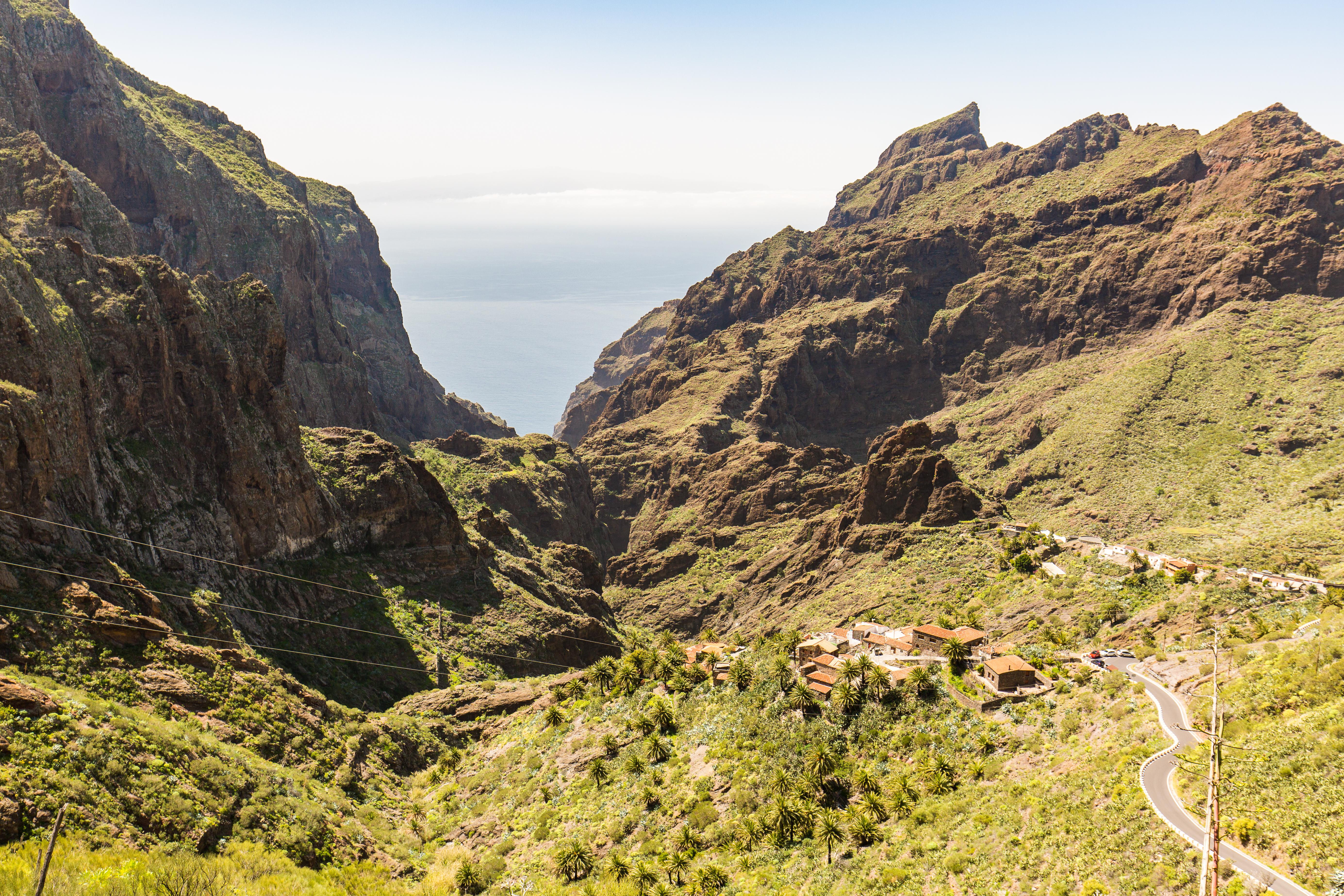 Teneriffa Foto: 9 av 35