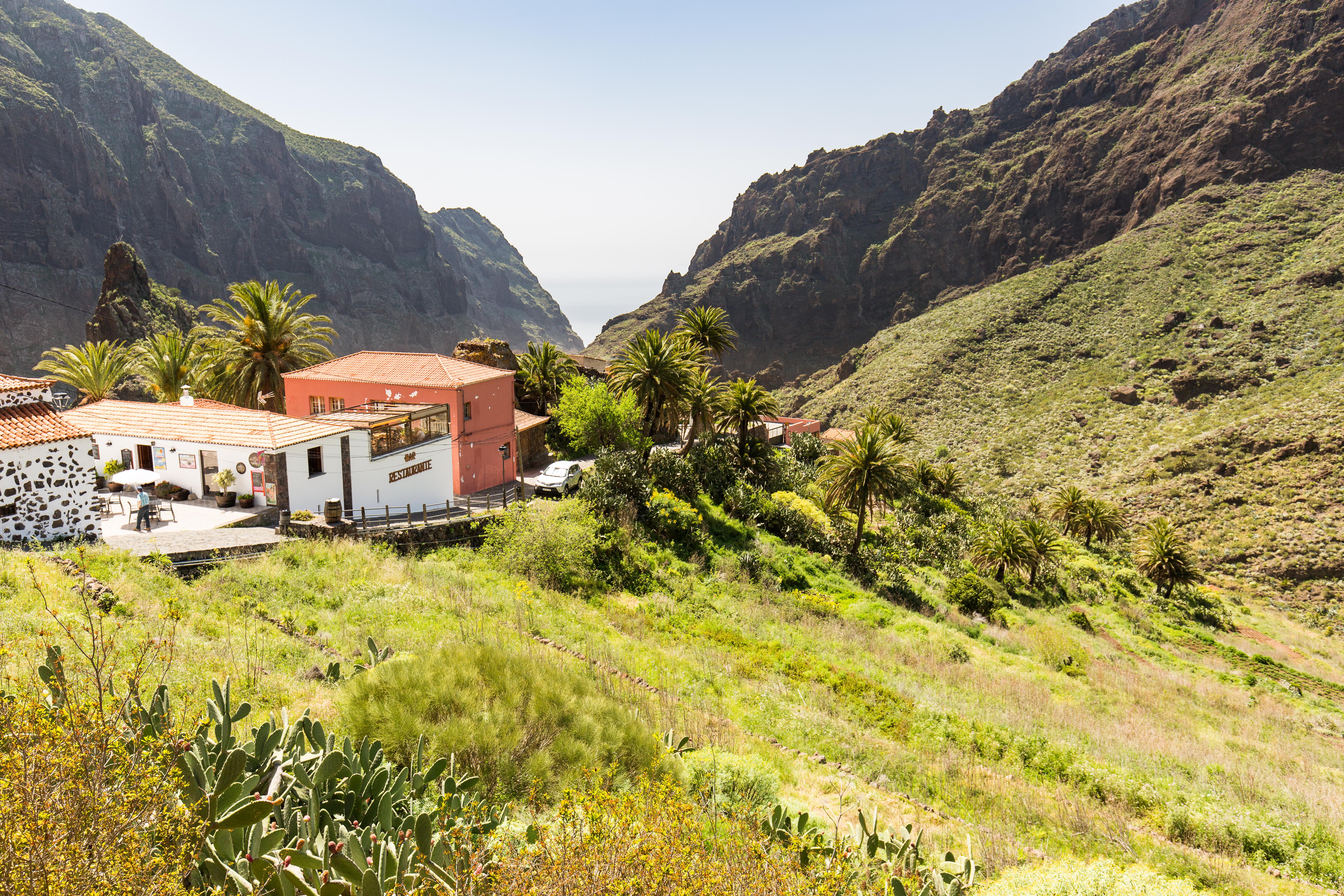 Teneriffa Foto: 3 av 35