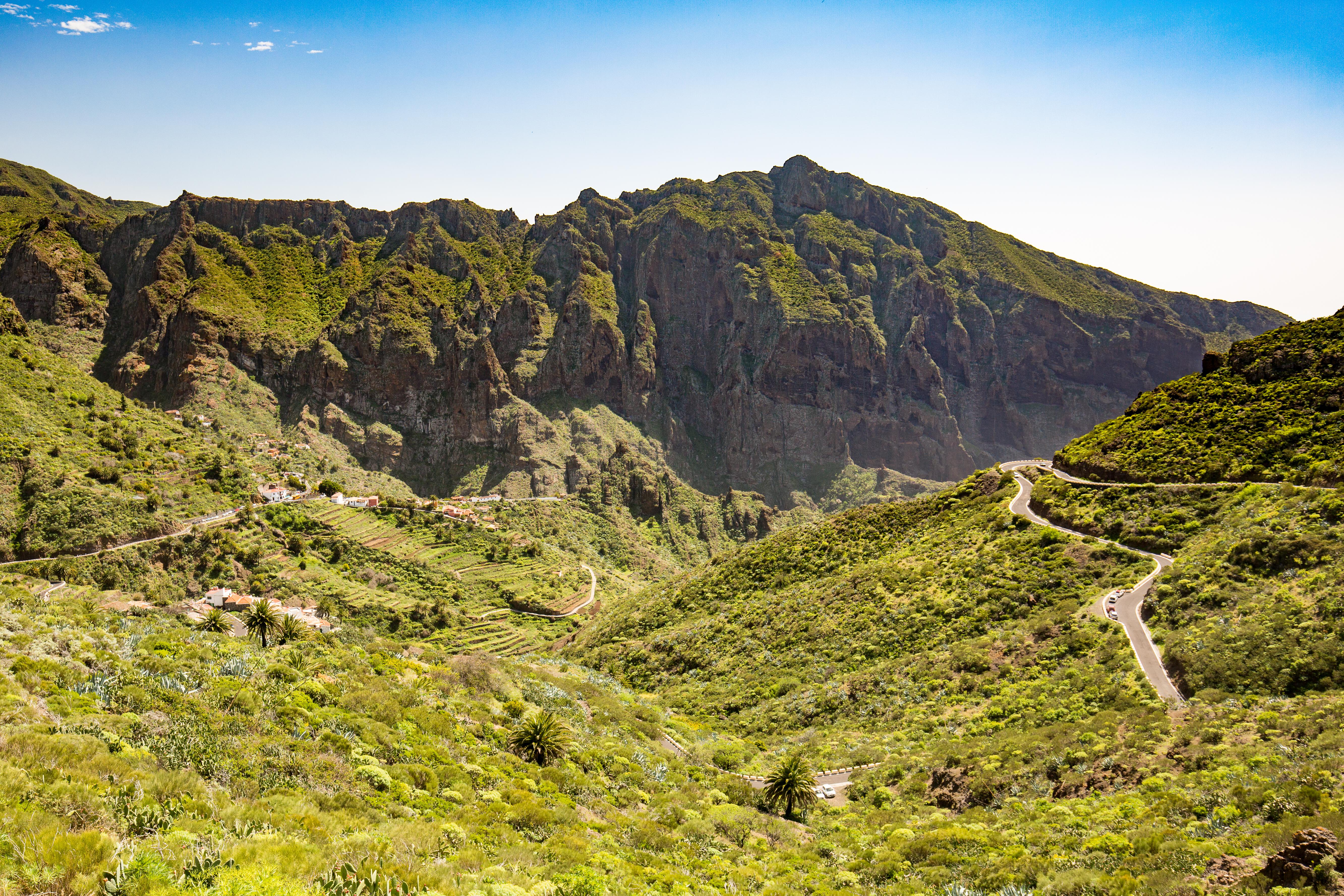 Teneriffa Foto: 33 av 35