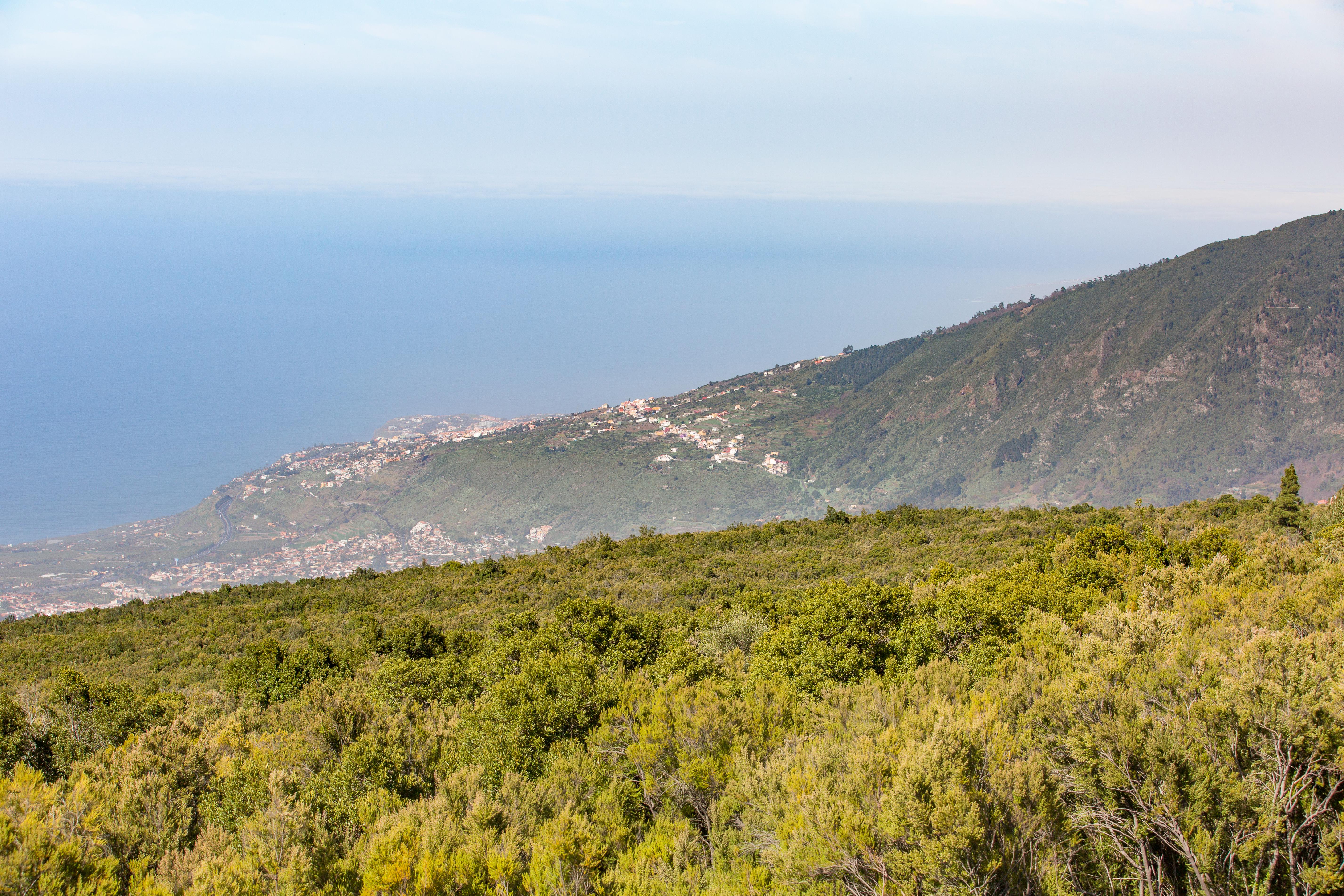 Teneriffa Foto: 35 av 35