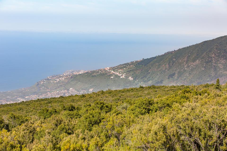 Teneriffa Foto: 35 av 35