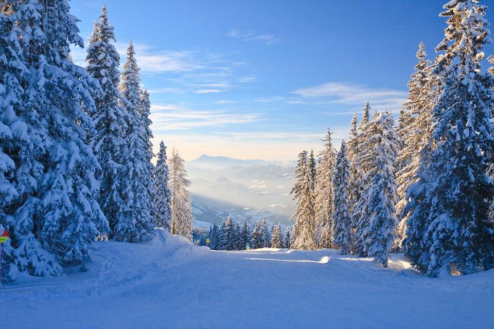 Schladming-Dachstein - Ski Amadé Foto: 2 av 4