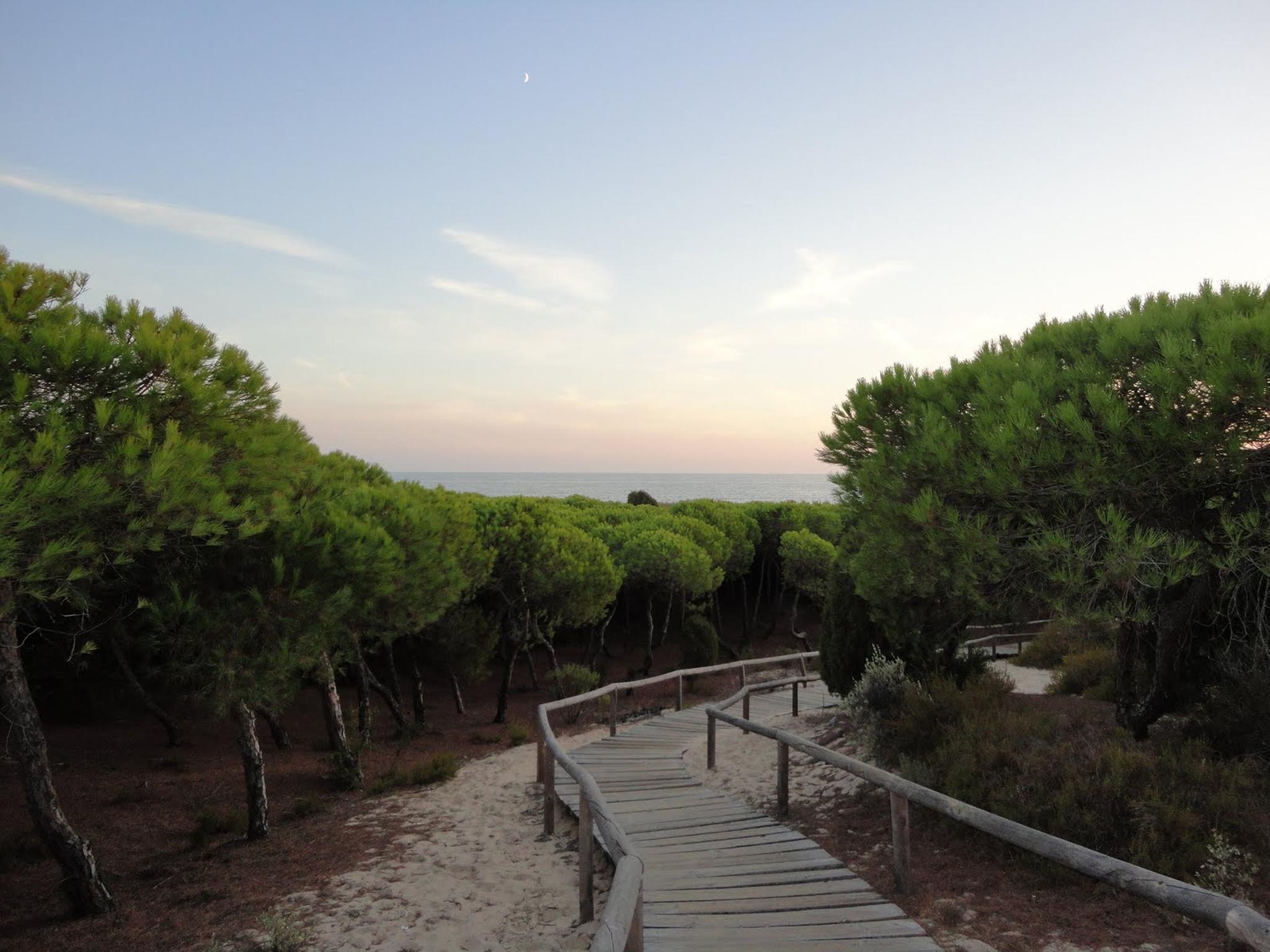 Punta Umbría Foto: 2 av 6