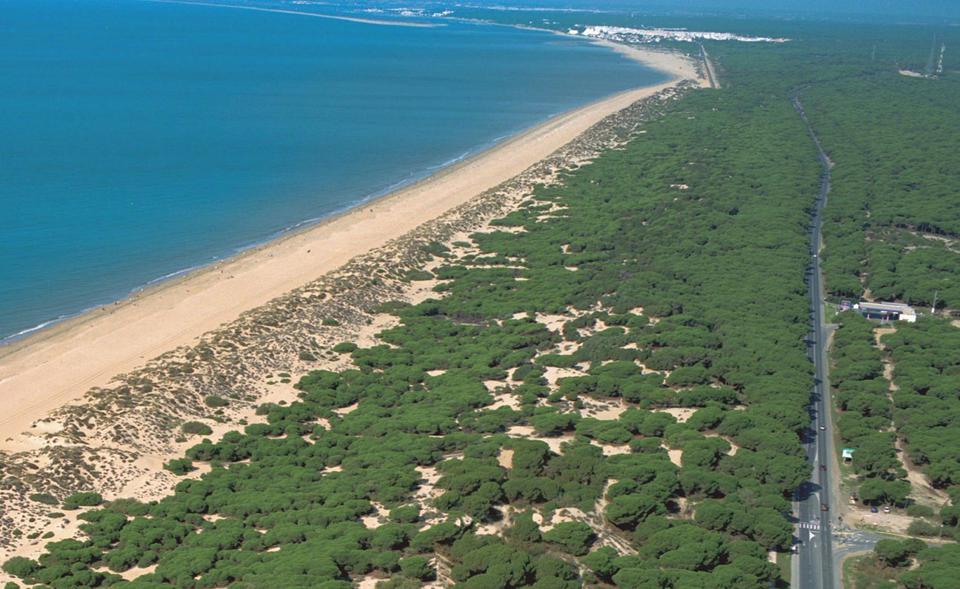 Punta Umbría Foto: 6 av 6