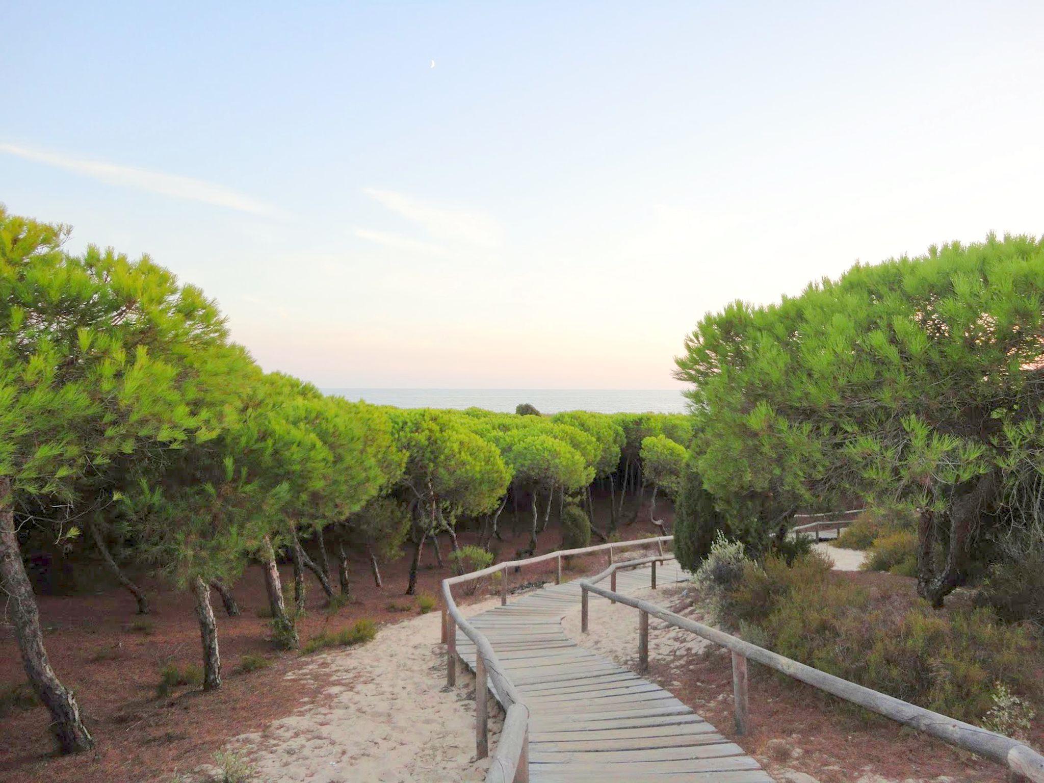 Andalusië - Costa de la Luz Foto: 11 av 11