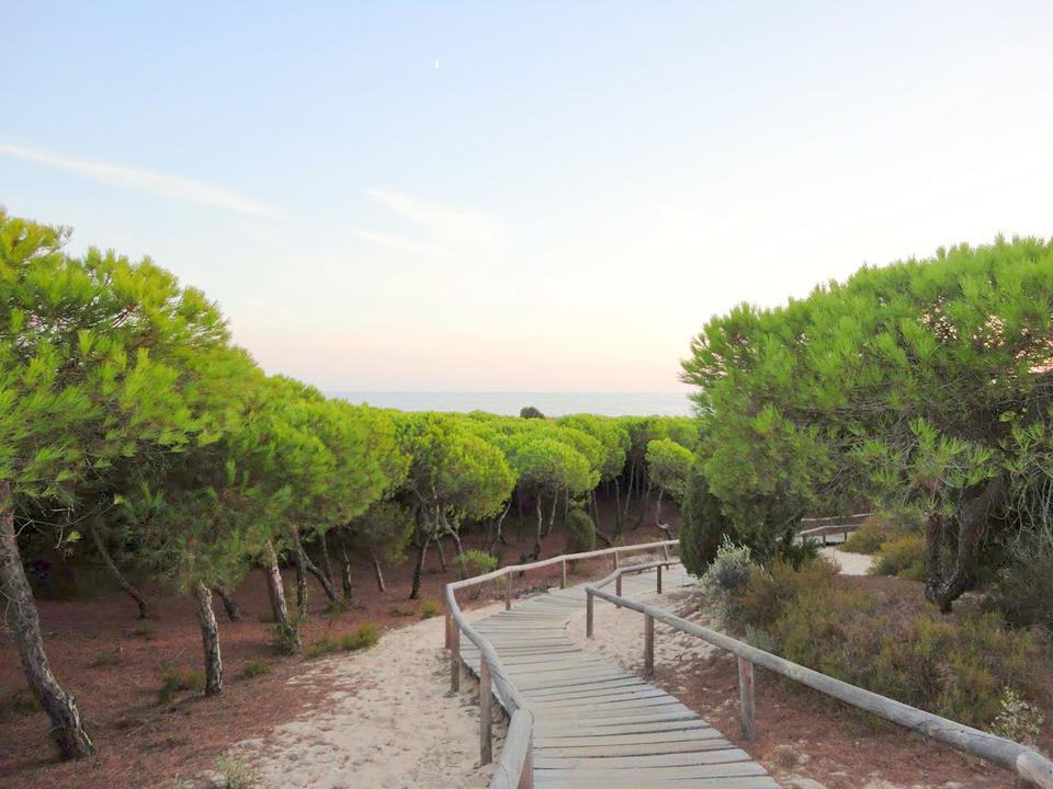 Andalusië - Costa de la Luz Foto: 11 av 11