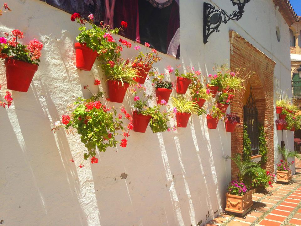 Marbella Foto: 2 av 8