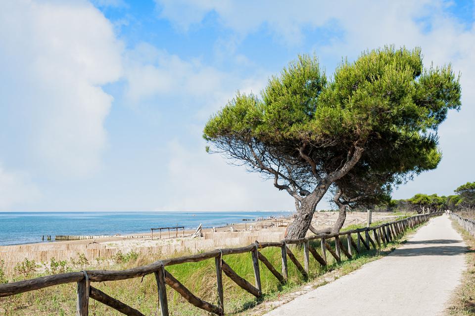 Adriatische Kust Foto: 3 av 5