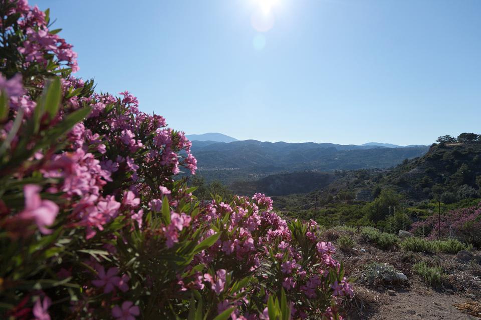 Rhodos Foto: 19 av 25