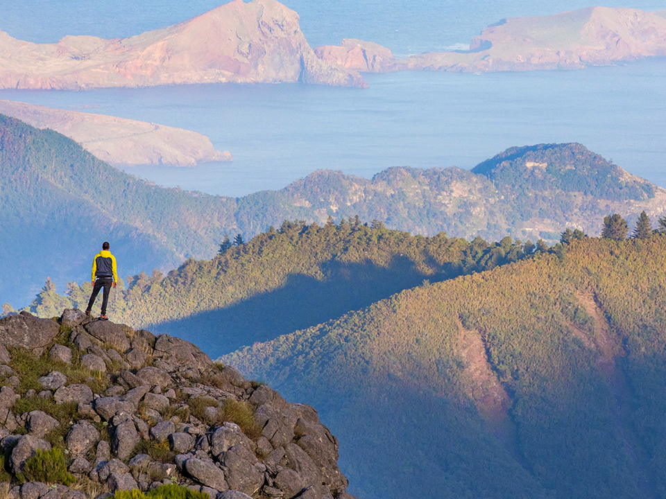 Madeira Foto: 5 av 5