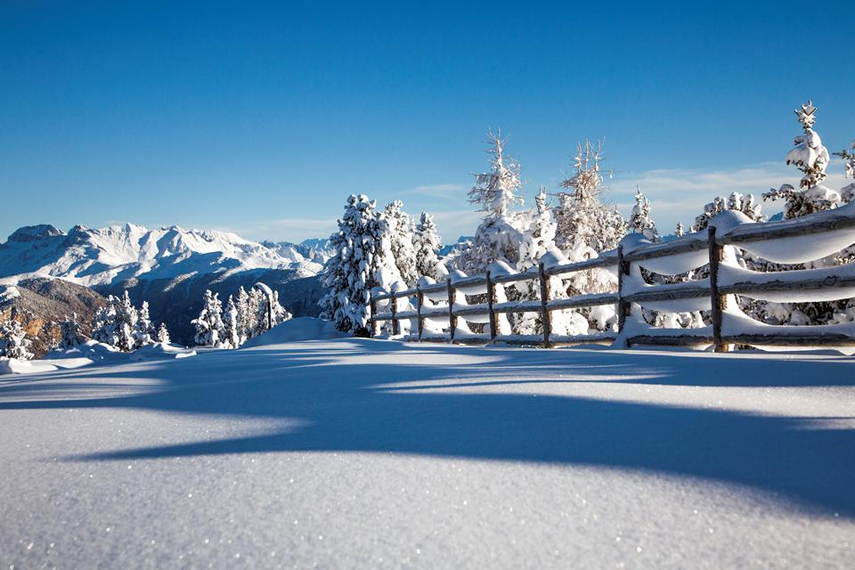 Ville di Fiemme Foto: 7 av 9