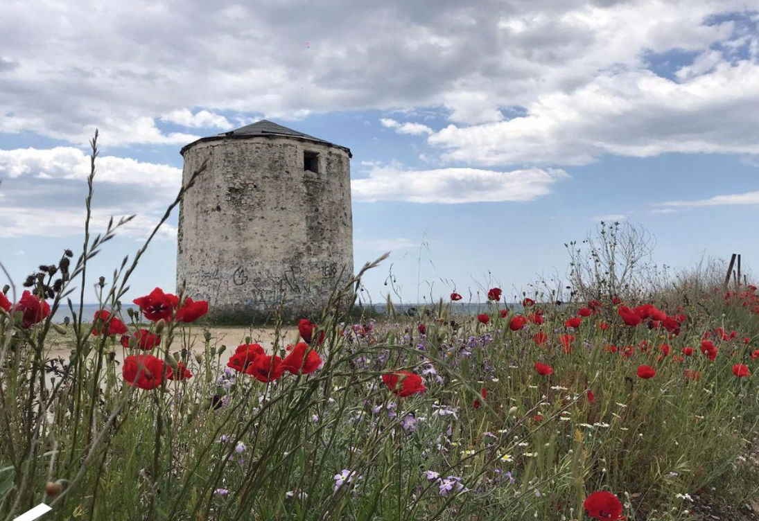 Kalives Foto: 3 av 4