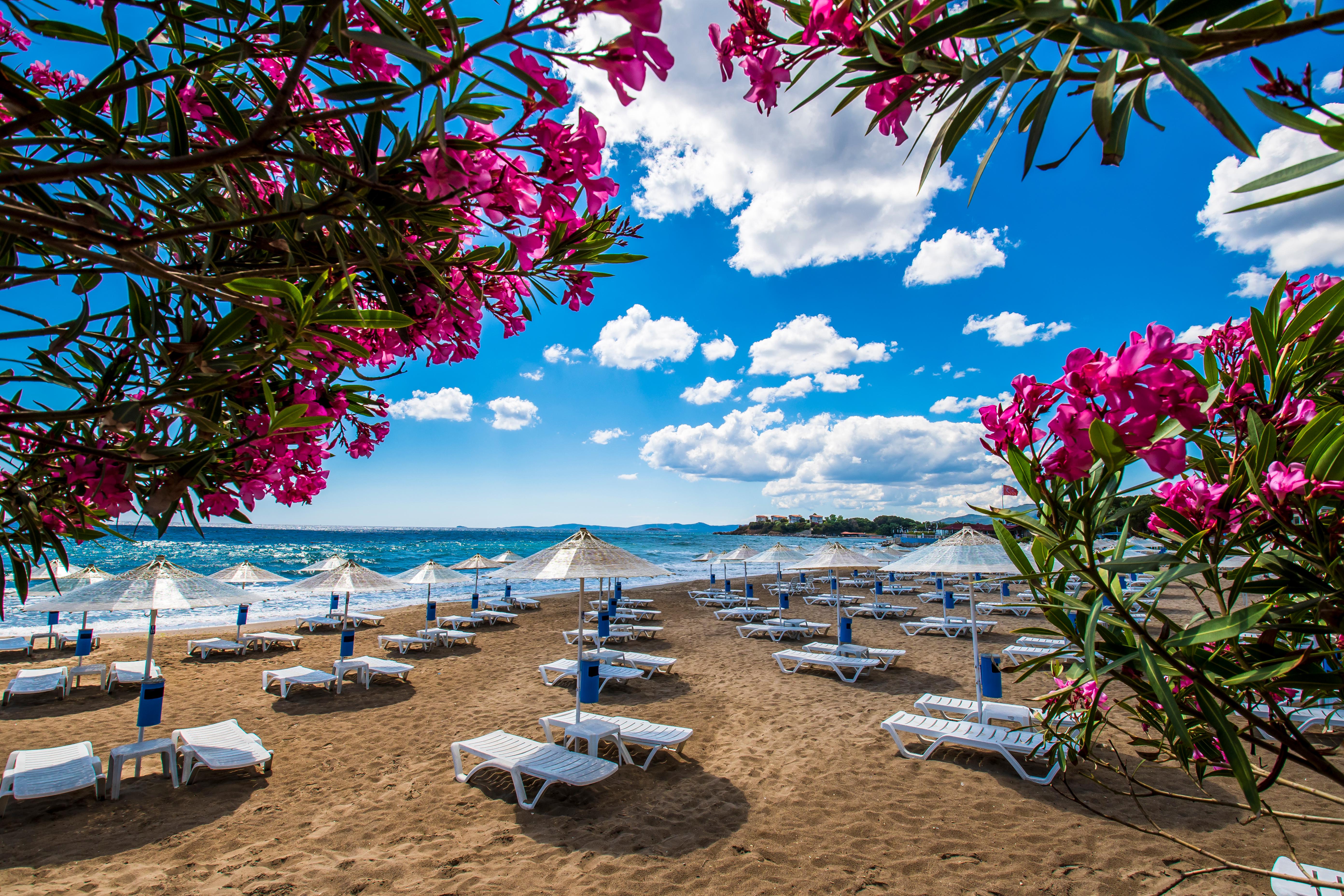 Özdere Foto: 2 av 5