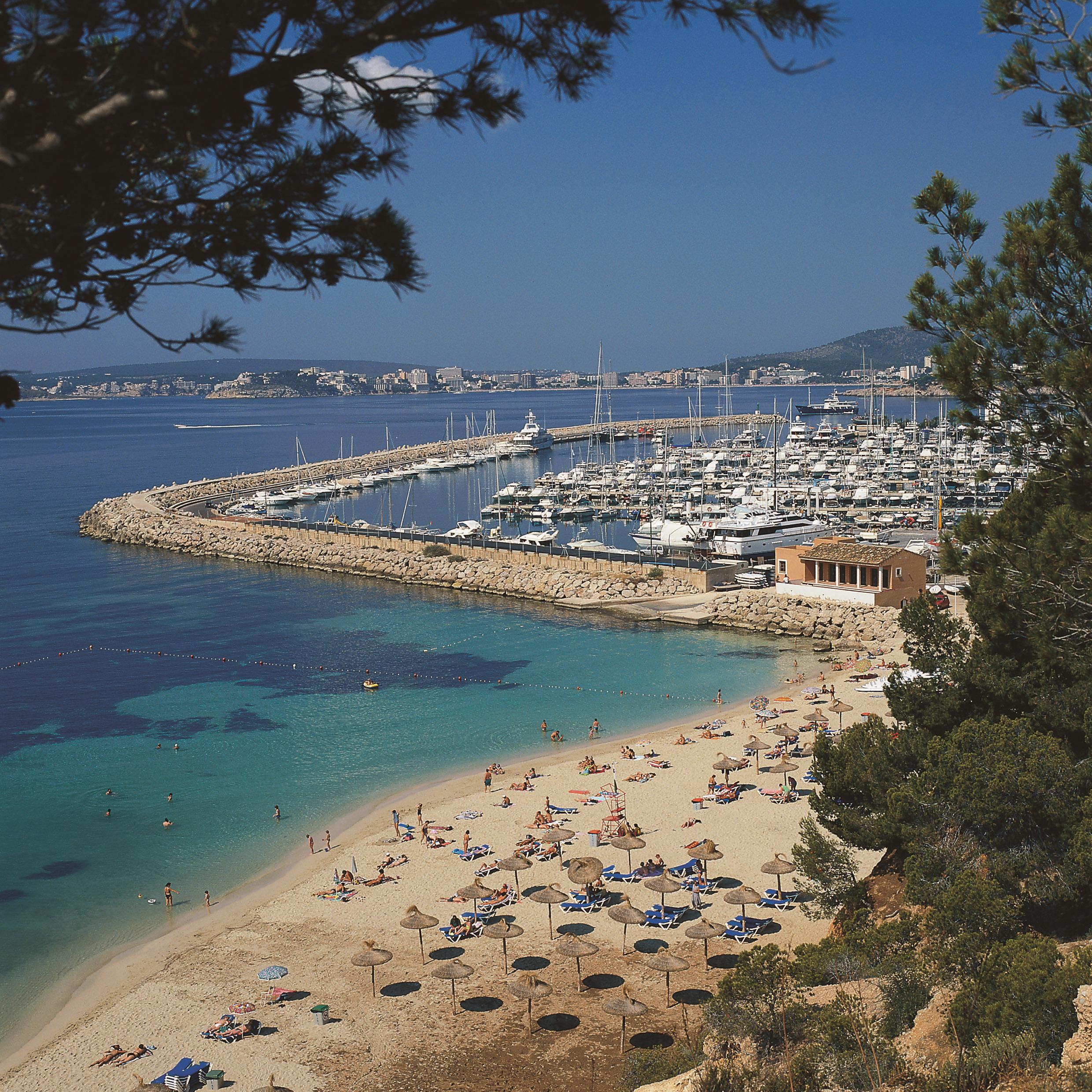 Alcudia - Playa de Muro Foto: 7 av 7