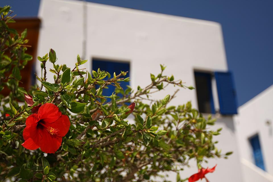 Koutouloufari Foto: 9 av 9