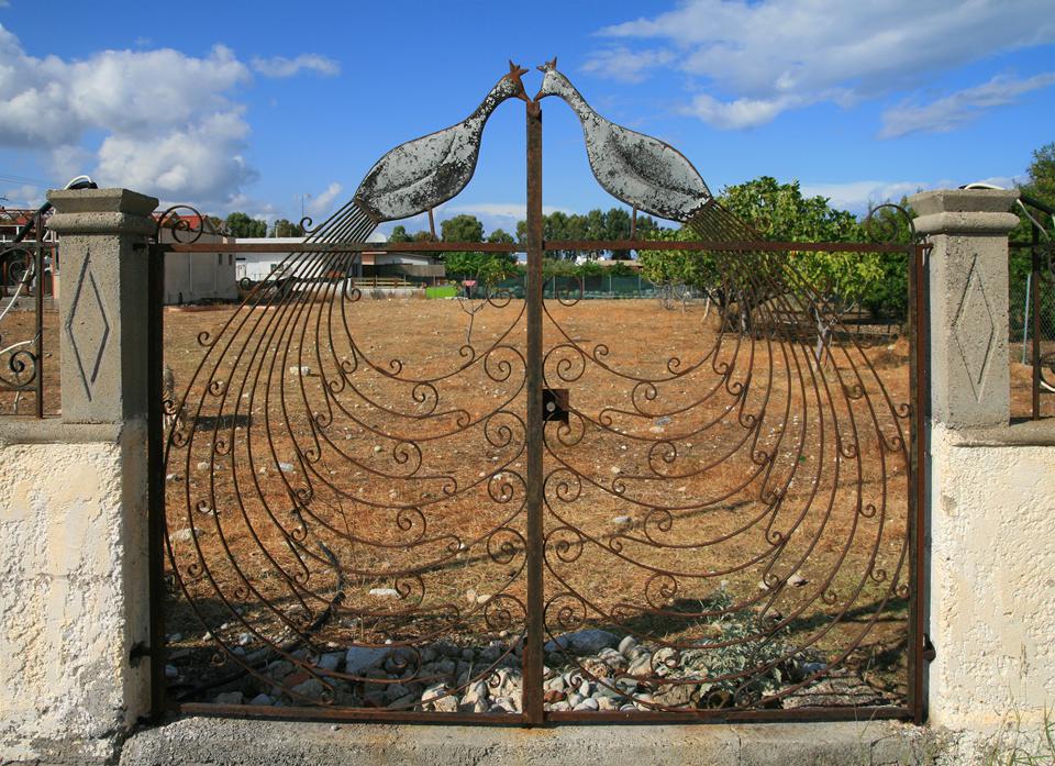 Kolymbia Foto: 5 av 5