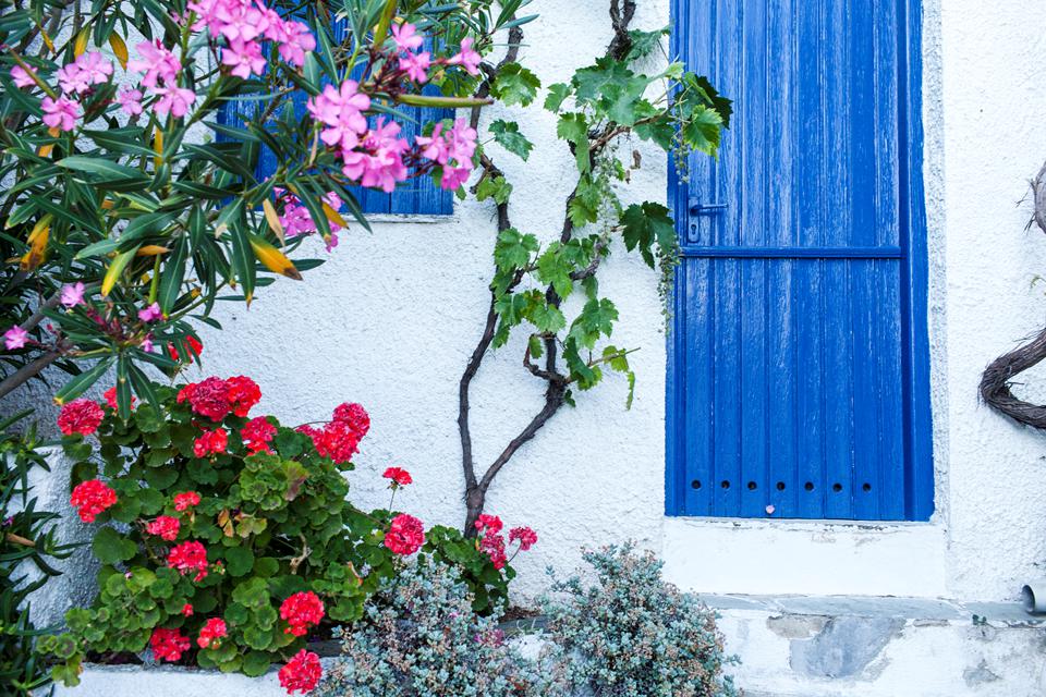 Alonissos Foto: 4 av 6